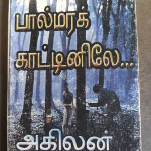 பால்மர காட்டினிலே அகிலன்